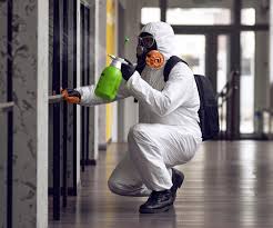 Why You Should Choose Our Mold Remediation Services in Grants Pass, OR